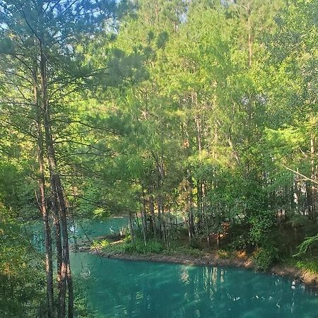 Waterfront Treehouse In A Magical Forest Waller Dış mekan fotoğraf