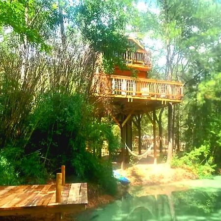 Waterfront Treehouse In A Magical Forest Waller Dış mekan fotoğraf