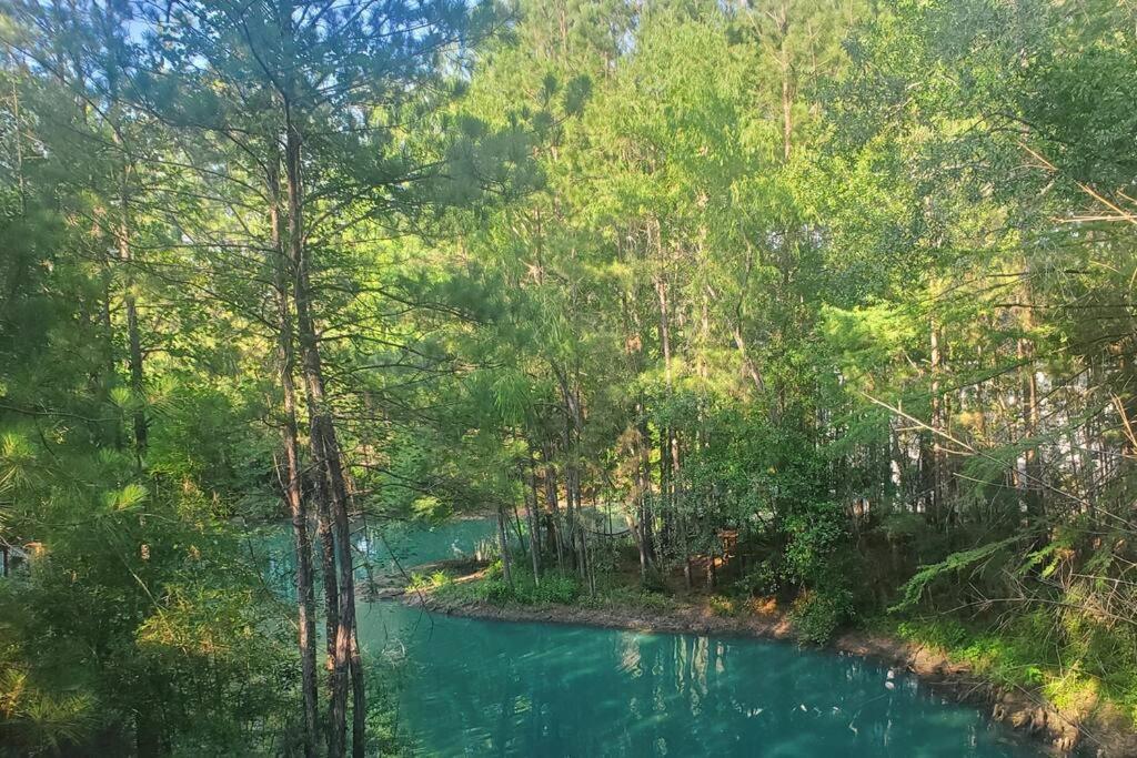 Waterfront Treehouse In A Magical Forest Waller Dış mekan fotoğraf
