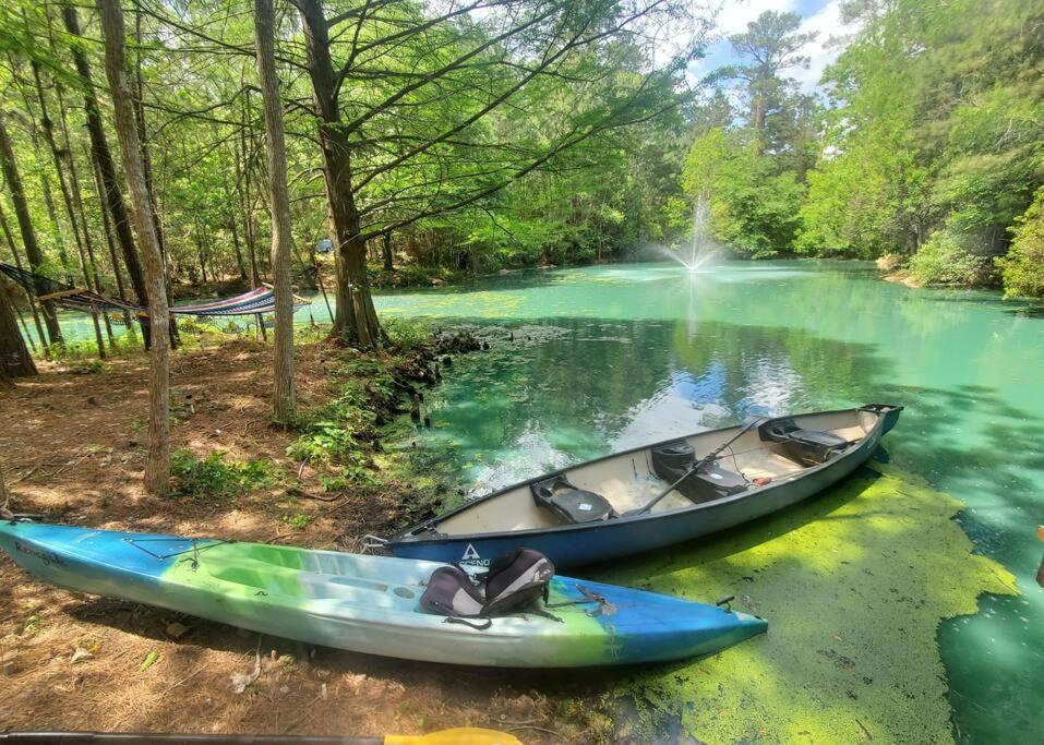 Waterfront Treehouse In A Magical Forest Waller Dış mekan fotoğraf