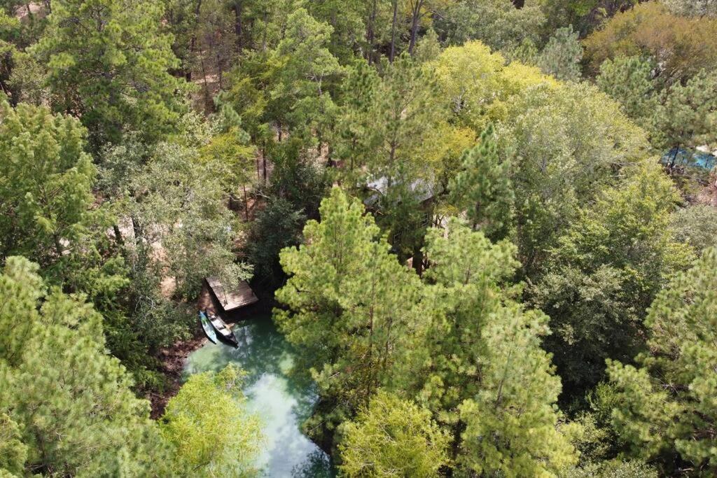 Waterfront Treehouse In A Magical Forest Waller Dış mekan fotoğraf