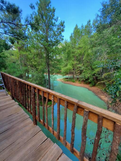 Waterfront Treehouse In A Magical Forest Waller Dış mekan fotoğraf